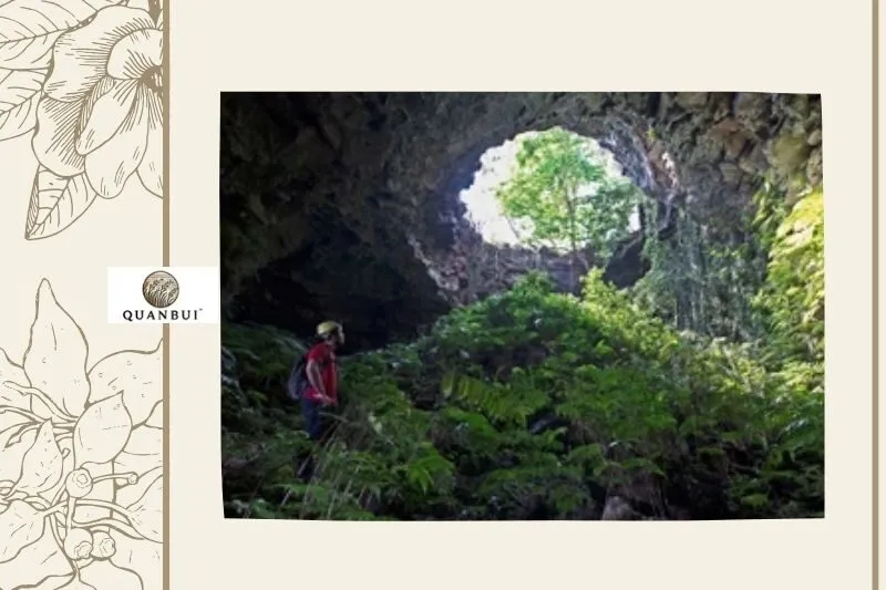 Các Khoang và Đặc Điểm Tự Nhiên Của Hang Động