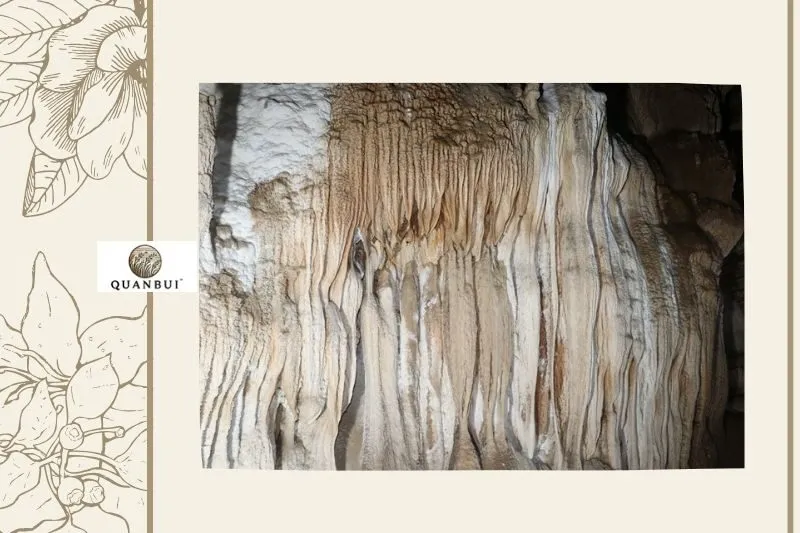 Cấu trúc và vẻ đẹp tự nhiên bên trong Hang Thẩm Lốm