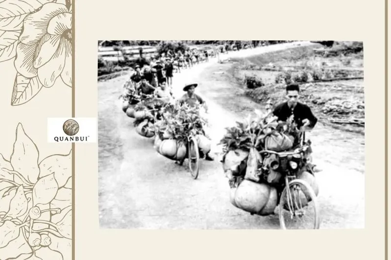 Chiến Dịch Điện Biên Phủ Tại Đỉnh Pú Huốt