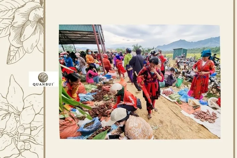 Sự Bảo Tồn Và Phát Triển Bền Vững Của Hang Động