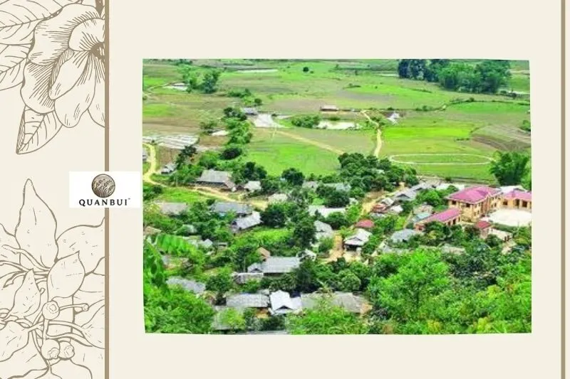 Đặc Điểm Nông Nghiệp và Lâm Nghiệp Của Xã Na Ư