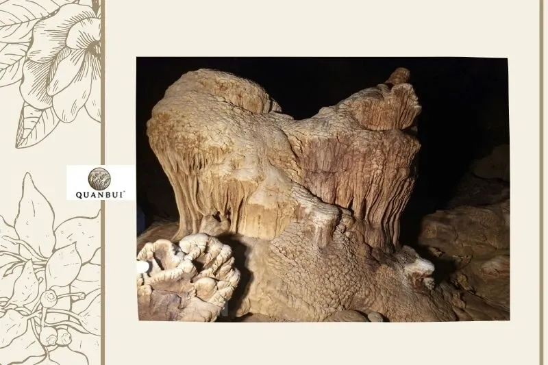 Giá trị khoa học của Hang động Thẳm Khến Điện Biên