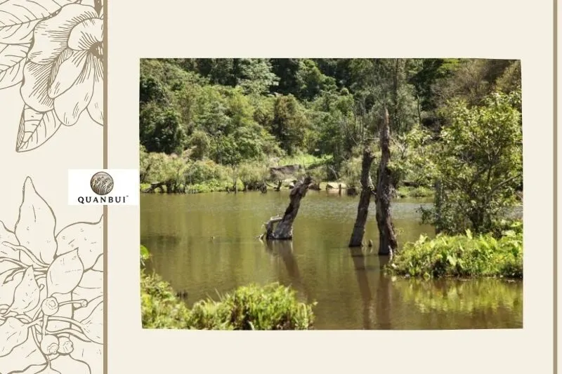 Giới thiệu về Hồ Noong U Điện Biên