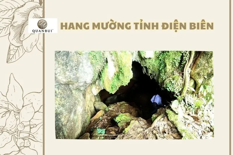 Hang Mường Tỉnh Điện Biên