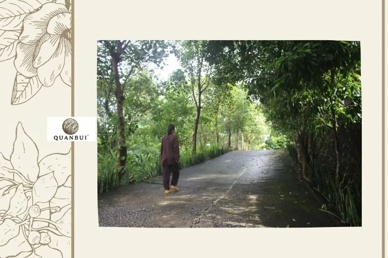 Ảnh hưởng đối với cuộc sống người dân địa phương