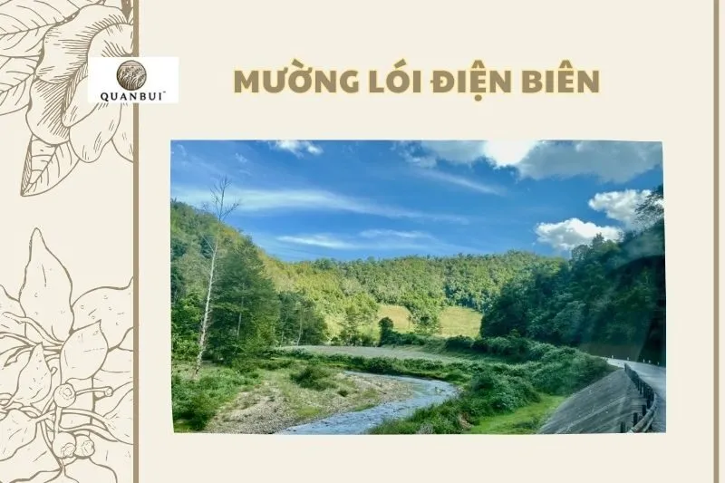 Mường Lói Điên Biên