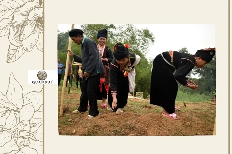 Nghi thức và hoạt động trong lễ tra hạt Điện Biên