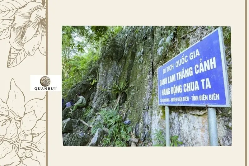 Sự Bảo Tồn Và Phát Triển Bền Vững Của Hang Động