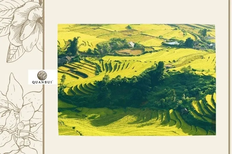 Tà Lèng Điện Biên - Thiên đường ruộng bậc thang