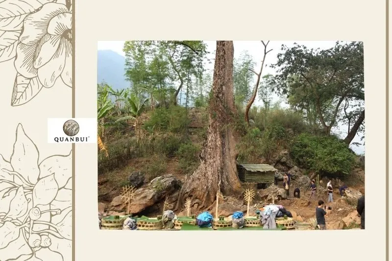 Tác động của lễ cúng đến cộng đồng dân tộc Kháng