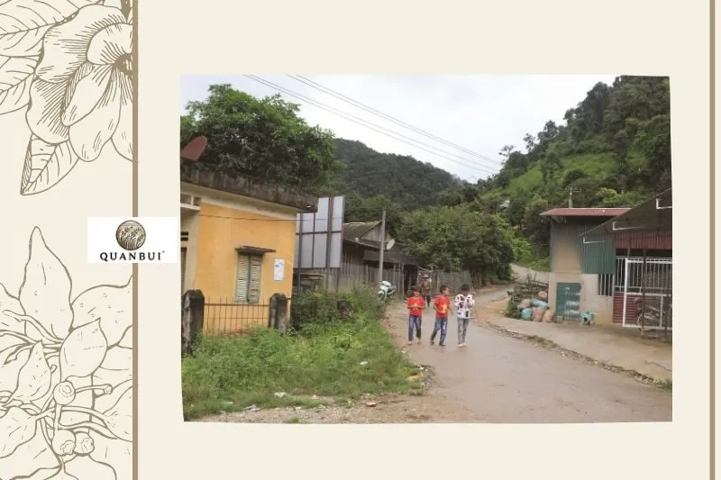 Tổng Quan Về Bản Na Ư Điện Biên