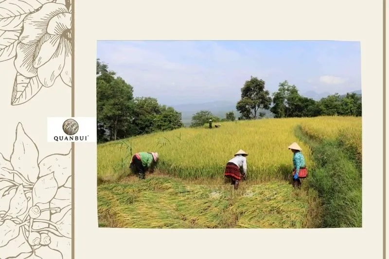 Trải nghiệm độc đáo khi đến Tà Lèng Điện Biên